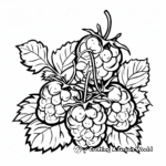Wild Raspberry Coloring Pages 4