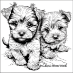 Yorkshire Terrier Puppies Coloring Pages 1