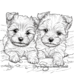 Yorkshire Terrier Puppies Coloring Pages 2
