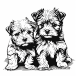 Yorkshire Terrier Puppies Coloring Pages 3