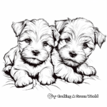 Yorkshire Terrier Puppies Coloring Pages 4
