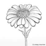 Aesthetically Pleasing Chrysanthemum Coloring Pages 1