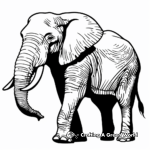 African Elephant Coloring Pages 1