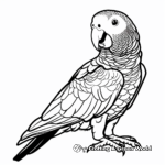 African Grey Parrot Coloring Pages 1