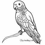 African Grey Parrot Coloring Pages 2