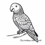 African Grey Parrot Coloring Pages 3