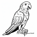 African Grey Parrot Coloring Pages 4