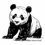 Animated Panda Bear Coloring Pages 4