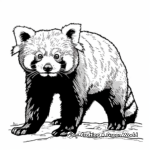 Artistic Red Panda Coloring Pages 2