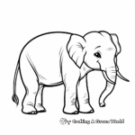 Asian Elephant Coloring Pages 3