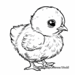 Baby Chick Coloring Pages for Easter 2