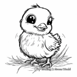 Baby Chick Coloring Pages for Easter 3