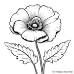 Bold Poppy Flower Coloring Sheets 2