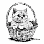 British Shorthair Cat Sitting in a Basket Coloring Pages 2