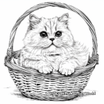 British Shorthair Cat Sitting in a Basket Coloring Pages 3