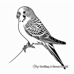 Colorful Budgie Bird Coloring Pages 2