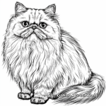 Detailed Persian Cat Coloring Pages 2