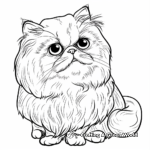 Detailed Persian Cat Coloring Pages 3
