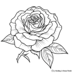 Detailed Single Rose Coloring Pages 1