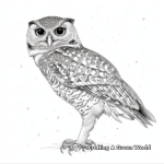 Detailed Spotted Owl Coloring Pages for Adults 1
