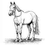 Detailed Thoroughbred Horse Coloring Pages for Adults 1