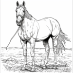 Detailed Thoroughbred Horse Coloring Pages for Adults 2