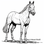 Detailed Thoroughbred Horse Coloring Pages for Adults 3