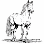 Distant Wild Mustang Horse Coloring Pages 3