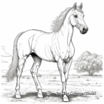 Elegant Andalusian Horse Coloring Pages 3