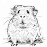 Funny Guinea Pig Coloring Pages for Kids 3