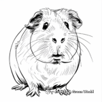 Funny Guinea Pig Coloring Pages for Kids 4