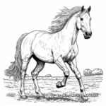 Gorgeous Morgan Horse Coloring Pages for Adults 1