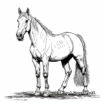 Gorgeous Morgan Horse Coloring Pages for Adults 2