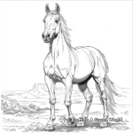 Graceful Arabian Horse Coloring Pages 1