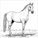 Graceful Arabian Horse Coloring Pages 2