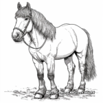 Magnificent Shire Horse Coloring Pages 2