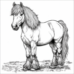 Magnificent Shire Horse Coloring Pages 3