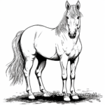 Majestic Horse Coloring Pages 1