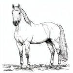 Majestic Horse Coloring Pages 2