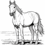 Majestic Horse Coloring Pages 3