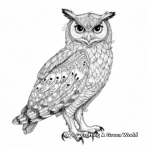 Mystical Owl Coloring Pages for Adults 4