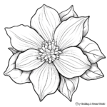 Naturalistic Detailed Poinsettia Coloring Pages 1