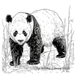 Pandas in their Habitat: Wildlife Coloring Pages 2