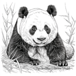 Pandas in their Habitat: Wildlife Coloring Pages 3