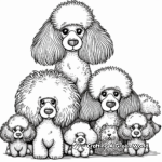 Poodles Family Coloring Pages 2