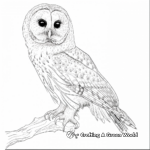 Realistic Barred Owl Coloring Pages 3