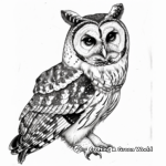 Realistic Barred Owl Coloring Pages 4