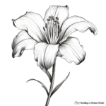 Realistic Easter Lily Coloring Sheets 2