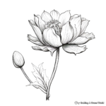Realistic Lotus Flower Coloring Pages 1