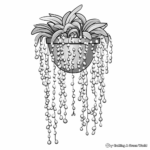 Relaxing String of Pearls Plant Coloring Pages 1